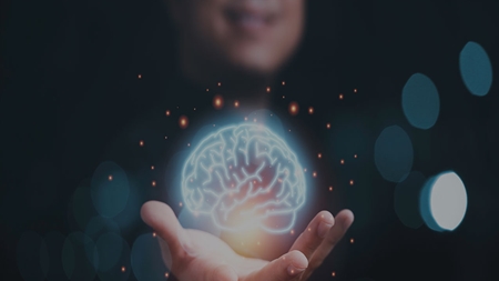 چهارمین دوره مدرسه پردازش داده‌های علوم اعصاب