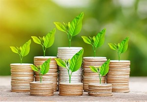 فعالسازی ابزارهای حمایتی اصلی قانون جهش