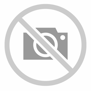 سعید  اسلامی